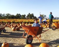 or09.jpg (11877 bytes)